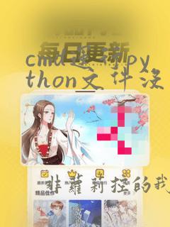 cmd运行python文件没有反应