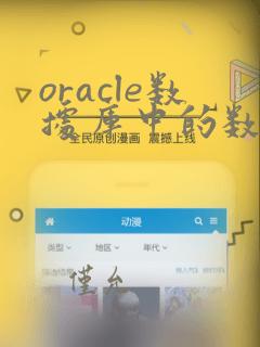 oracle数据库中的数据类型