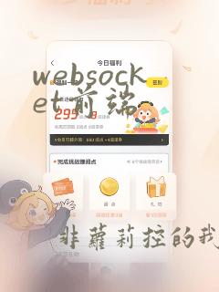 websocket前端