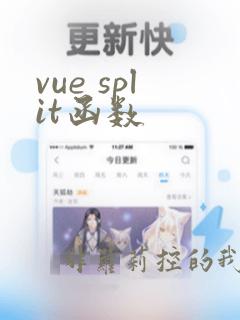 vue split函数