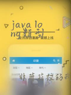 java long类型