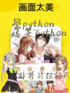 学python还是python
