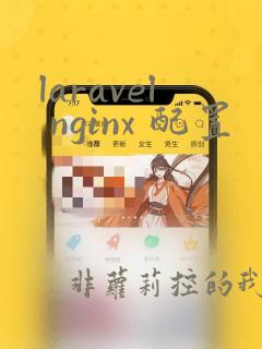 laravel nginx 配置