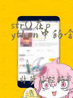 str()在python中的含义