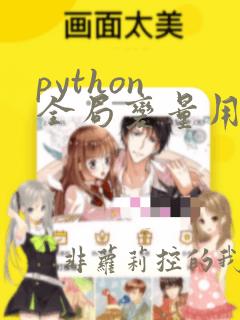 python 全局变量用法