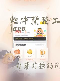 软件开发工程师java