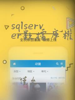 sqlserver数据库权限设置