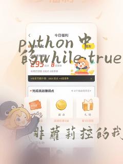 python中的while true