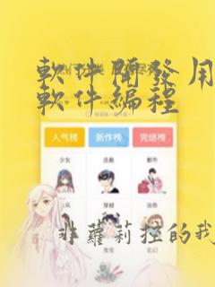 软件开发用什么软件编程