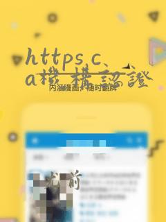 https ca机构认证