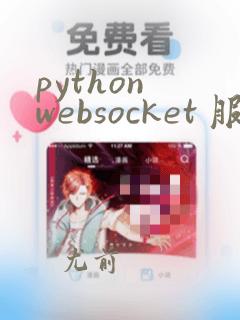 python websocket 服务器