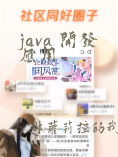 java 开发应用