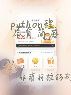 python程序员简历