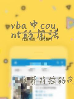 vba中count的用法