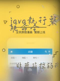 java执行系统命令