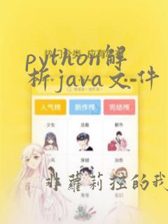 python解析java文件