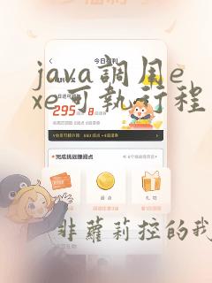 java调用exe可执行程序