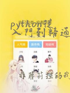 python从入门到精通pdf