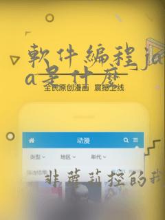 软件编程java是什么