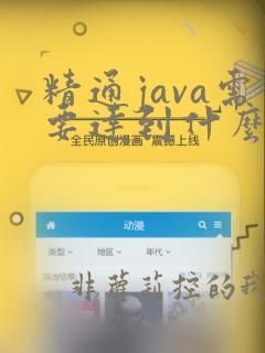精通java需要达到什么程度
