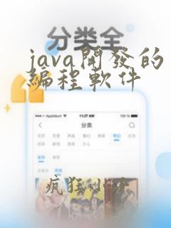 java开发的编程软件
