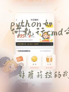 python如何执行cmd命令