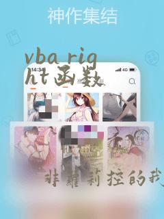 vba right函数