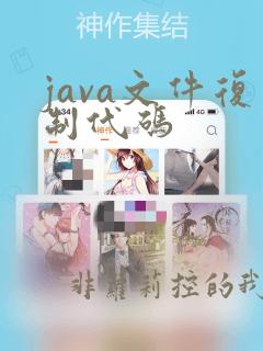 java文件复制代码