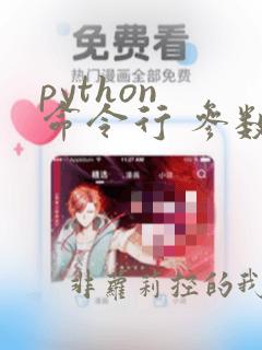 python 命令行 参数