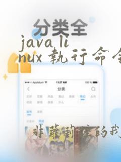 java linux 执行命令