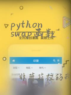 python swap函数