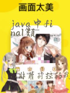 java中final类