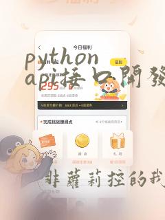 python api接口开发