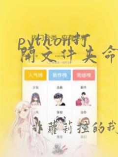 python打开文件夹命令