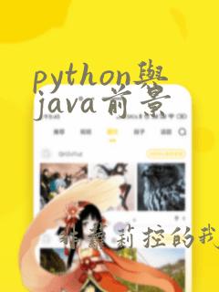 python与java前景