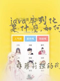 java序列化是什么,如何实现