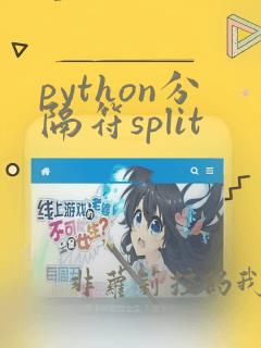 python分隔符split