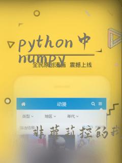 python中numpy