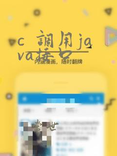 c  调用java接口