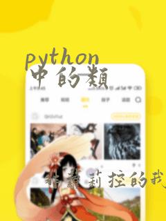 python 中的类