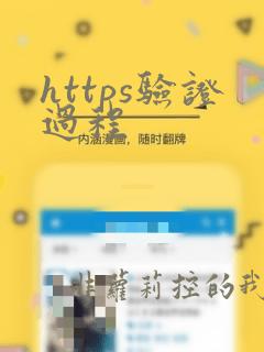 https验证过程