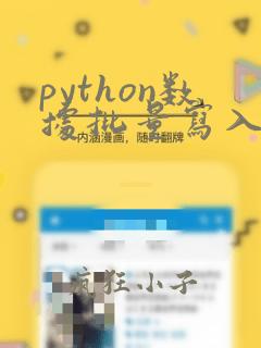 python数据批量写入数据库