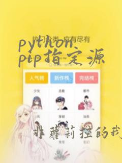 python pip指定源