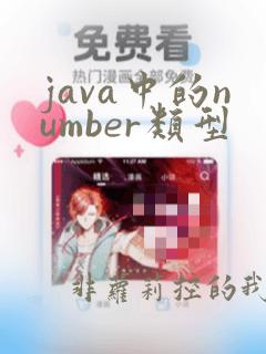 java中的number类型