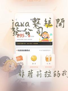 java系统开发公司