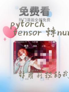 pytorch tensor 转numpy
