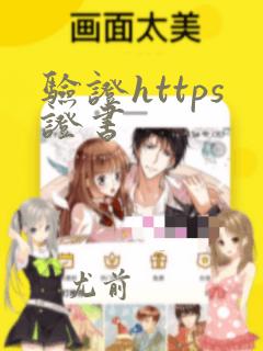 验证https证书