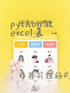 python做excel表