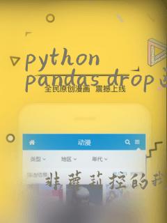 python pandas drop函数