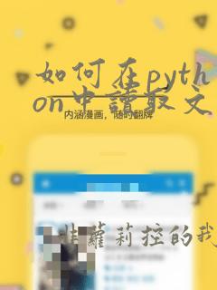 如何在python中读取文件